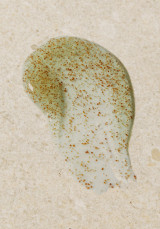 Ексфолиант за лице Водорасли 125 ml