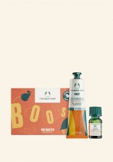 Комплект Boost Intro AR24