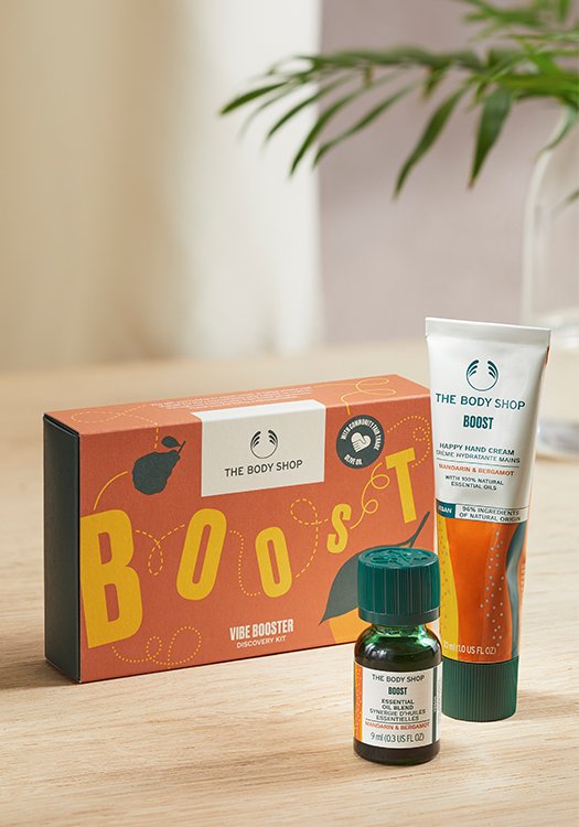 Комплект Boost Intro AR24