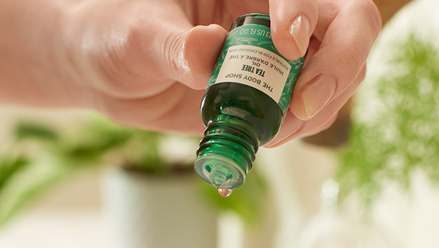 чаено дърво