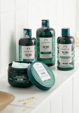 Шампоан за коса Чаено дърво 400 ml