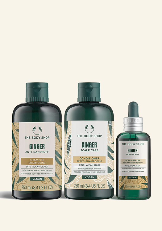 Сет Джинджифил