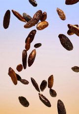 Спрей за тяло Тонка 100 ml