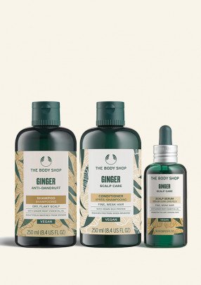 Сет Джинджифил