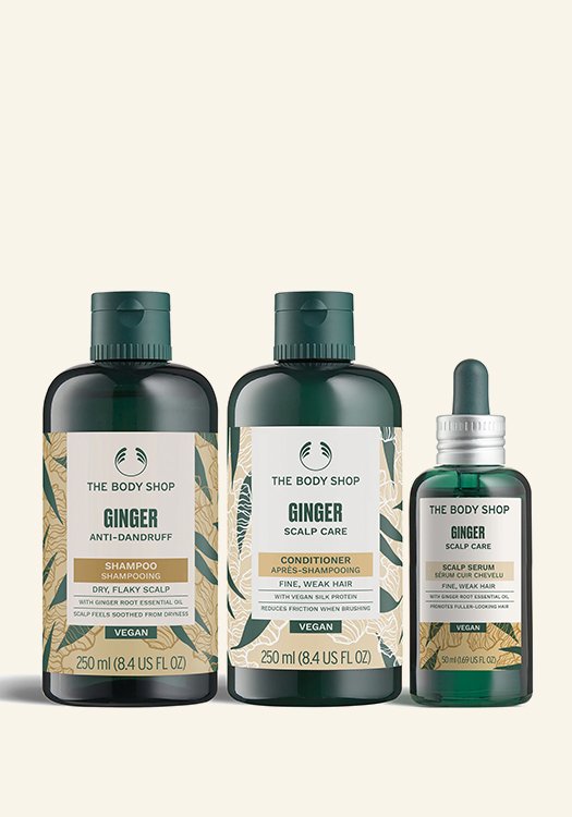 Сет Джинджифил