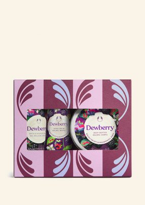 Комплект Дива къпина Mini AR26