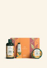 Комплект Satsuma Small AR26