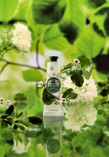 Крем за ръце Бял чай и бъз 30 ml