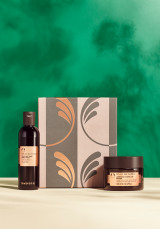 Комплект SPA Duo AR26