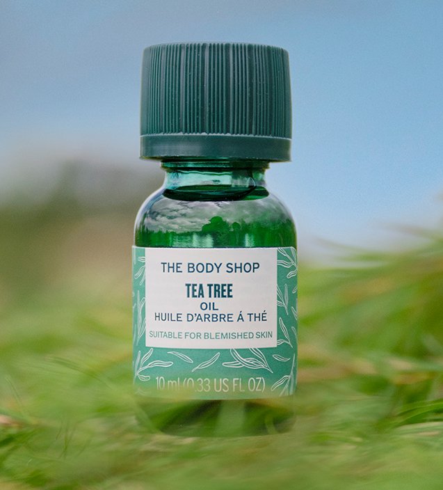 чаено дърво