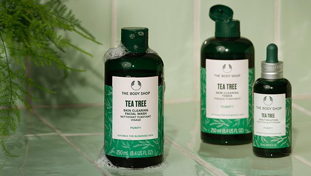 чаено дърво