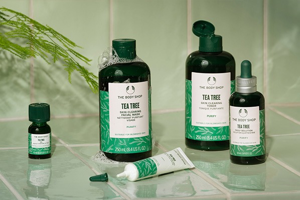 чаено дърво