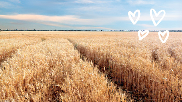 хиалуронова киселина