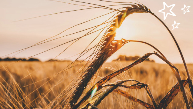 хиалуронова киселина