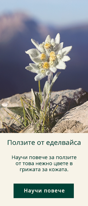 Edelweiss