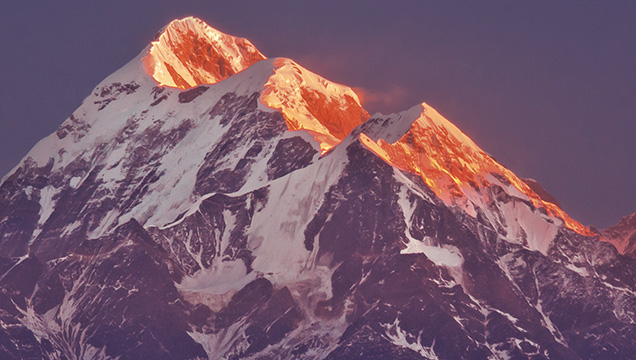 хималайски въглен