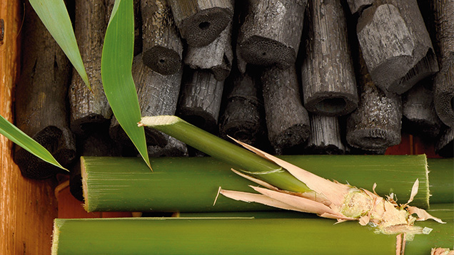 хималайски въглен