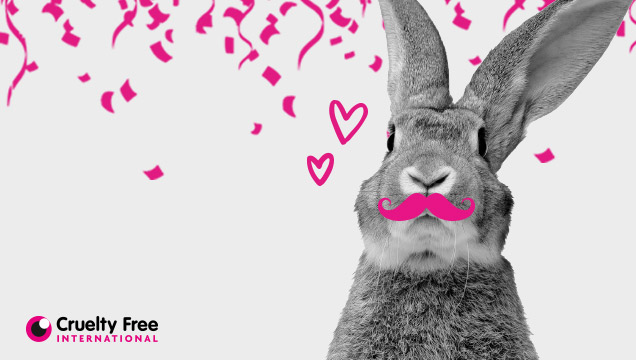 foverer against animal testing