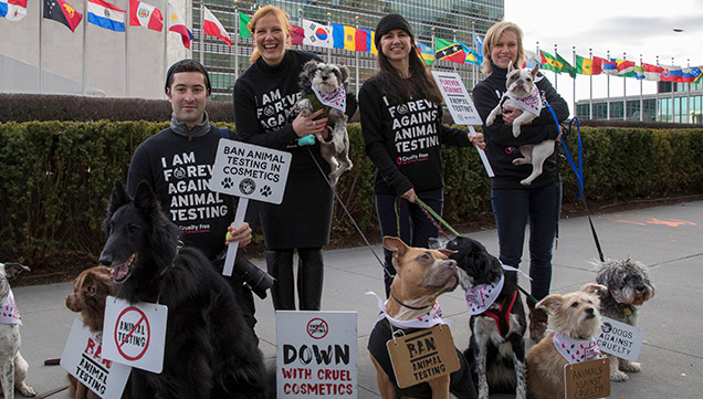 глобална забрана