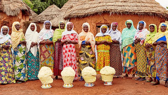 масло от шеа